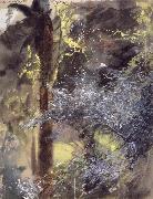 Anders Zorn Unknow work 31 Spain oil painting artist